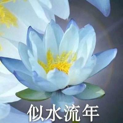 至尊私服最新版下载